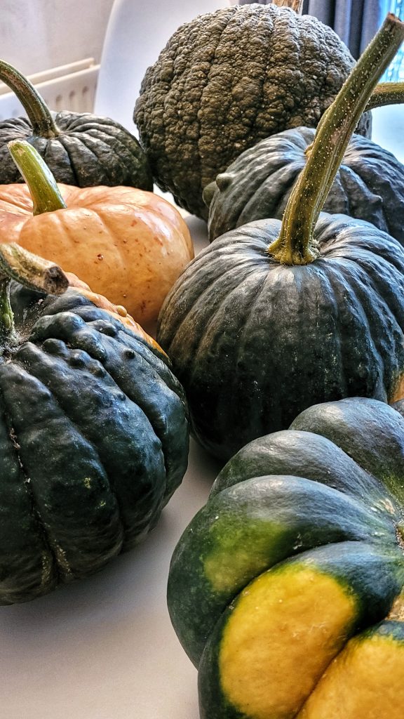 pumpkins on a table
